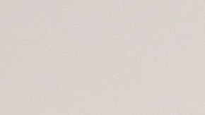 Irene Aldana, peleadora mexicana del UFC.