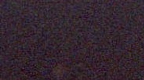 Julio César Chávez en su época de boxeador junto a Don King.