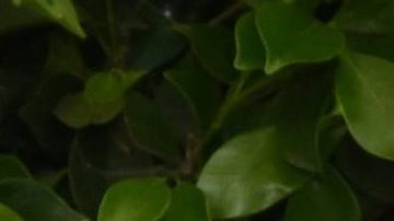 Karol G con directivos de Warner Music.