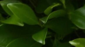 Karol G y el equipo de Warner Music Group e Interscope Records.