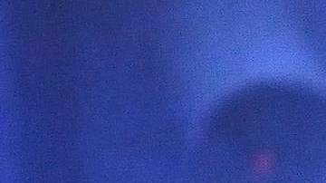 La casa de los famosos mexico (1)