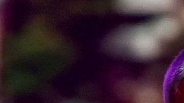 Maluma y Carlos Rivera felicitan a Nadia Ferreira y Marc Anthony