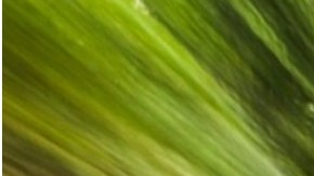 Atento a cómo aprovechar el rendimiento de tu motor V4