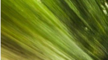 Atento a cómo aprovechar el rendimiento de tu motor V4