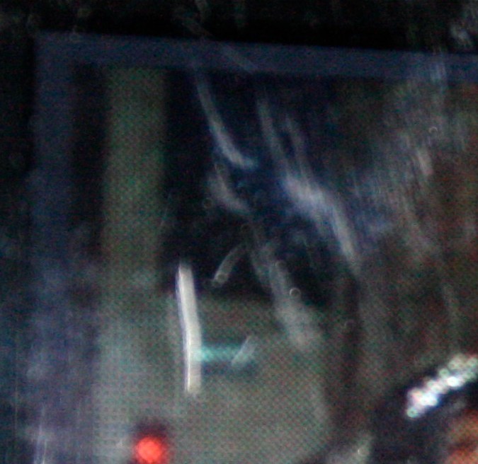 Padre Alberto y su esposa Ruhama el día de su boda.