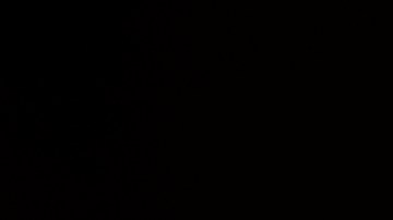 Conoce tu carta del tarot para la semana