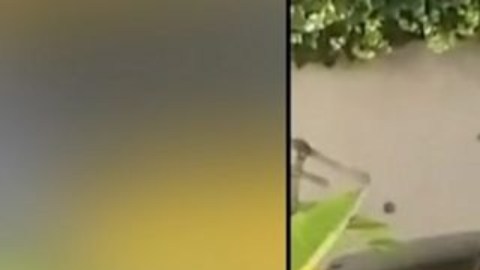 Nahel murió al recibir un disparo a quemarropa durante un control de tráfico.
