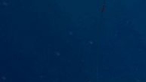 El desarrollo del Titán no se realizó siguiendo los procedimientos tradicionales.