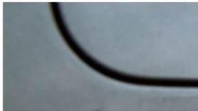 Rayón en la carrocería