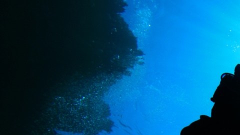 Las maravillas del mundo en las profundidades del mar.