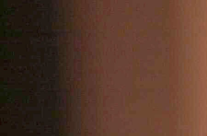 Salma Hayek con "Tyson", el mono que actuó en la película Frida Kahlo.