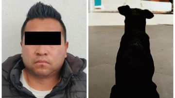 Sergio "N" acusado de matar a perro en Tecámac.