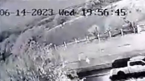 Violencia en México