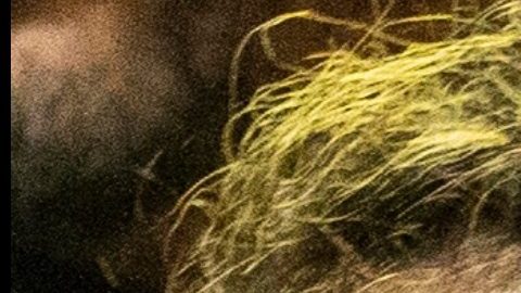 Tekashi 6ix9ine y Yailin La Más Viral cautivan el Instagram.