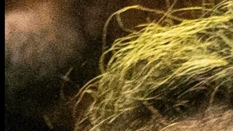 Tekahi 6ix9ine, cantante de hip hop, en una presentación en corte en 2018 Y Yailin La Más Viral, cantante de género urbano en la promoción de un tema musical.