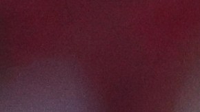 Tigres de la UANL actuales campeones del fútbol mexicano.