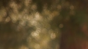 Las acusaciones contra Curren Price (der.) son otro obstáculo para las aspiraciones políticas de Marisa Alcaraz.