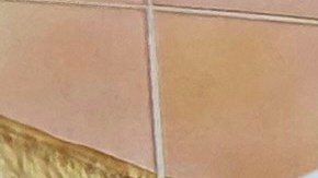 La caravana busca el apoyo de la comunidad inmigrante contra la SB 1718.