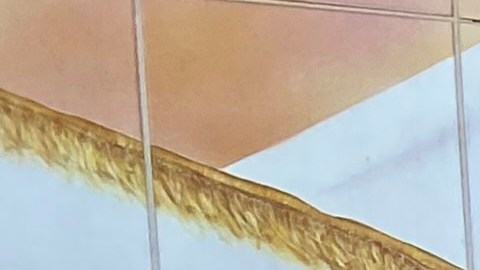 La caravana busca el apoyo de la comunidad inmigrante contra la SB 1718.