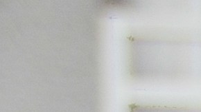 El espíritu de competencia se encuentra en los signos que jamás se dan por vencidos.
