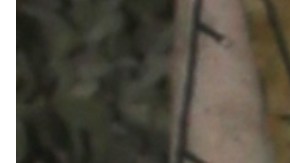 Daniella Navarro terminó su relación con Nacho Casano pide disculpas a las "nachiella".