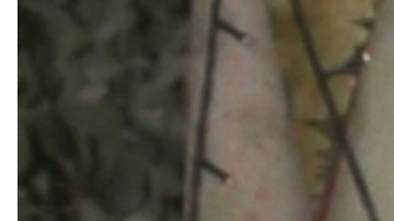 Daniella Navarro terminó su relación con Nacho Casano pide disculpas a las "nachiella".