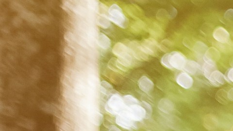 El signo menos preocupado del zodiaco también es el más optimista.