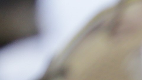 Militares de Panamá reforzarán la seguridad en la provincia de Darién, donde hay un alza en crímenes.