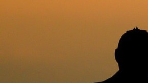 Una familia de 4 personas requiere ingresos de $85,000 dólares al año, según una encuesta de Gallup.