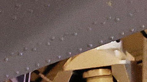 Niños rescatados en selva colombiana esperaron por ayuda cerca del avión durante 4 días antes de iniciar travesía