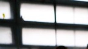 Los guatemaltecos votan este domingo a su futuro presidente.