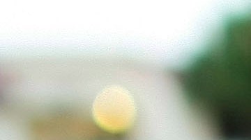 María Mendoza "La Patrona"