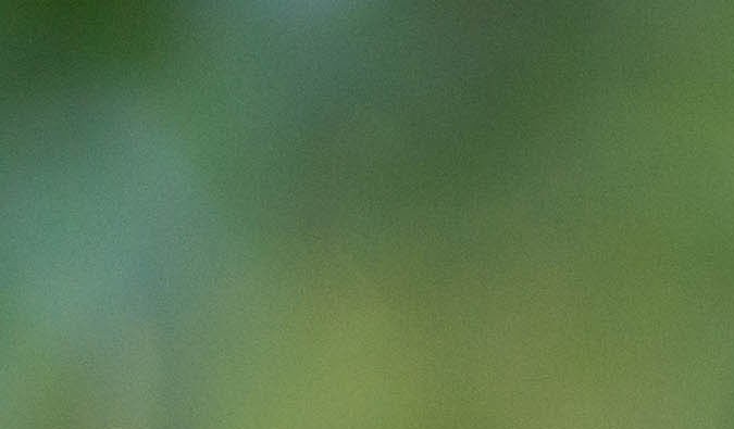 El color de la naranja se asocia con la abundancia.