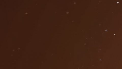 La alineación planetaria del fin de semana trajo consecuencias positivas para el horóscopo chino.