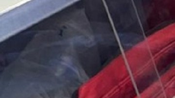 Migrantes que viajaban en un autobús en México ayudaron a una mujer a dar a luz