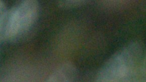 Bertha Montes no fue autorizada para dejar su puesto de trabajo, pese a estar enferma.