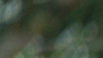 Bertha Montes no fue autorizada para dejar su puesto de trabajo, pese a estar enferma.