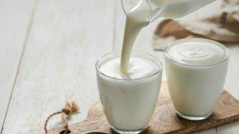 Cómo escoger las mejores bebidas probióticas del mercado para tu salud intestinal