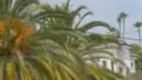 Padres de familia de la primaria Saticoy en North Hollywood se enfrentaron a golpes hace algunos días.