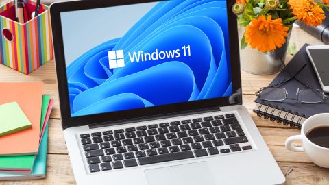Windows 11