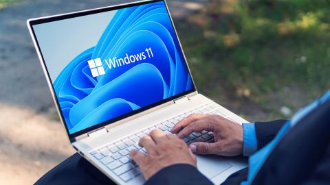 Windows 11
