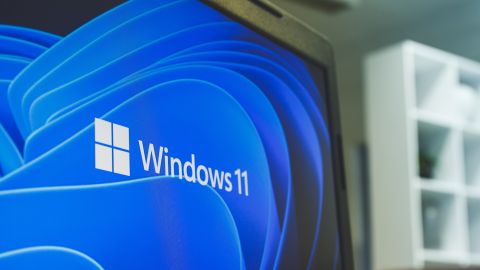 Windows 11
