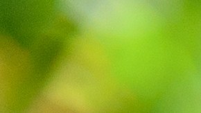 Solicitudes de hipotecas en Estados Unidos