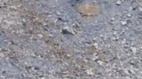 El desprendimiento de rocas no llegó a la aldea y se detuvo justo antes de impactar en la escuela local.