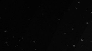 Venus en Leo afectará a todos los signos del zodiaco.