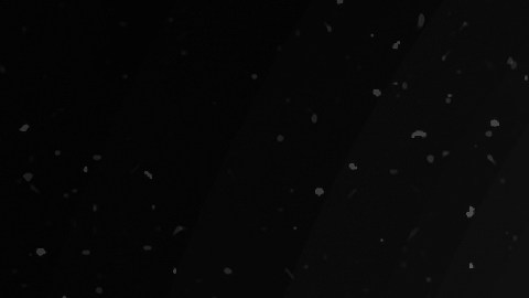 Venus en Leo afectará a todos los signos del zodiaco.