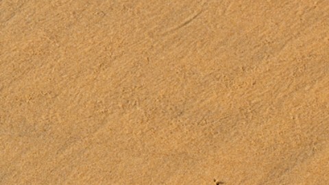 Verano saludable: cómo saber que necesitas vitamina D