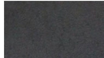 Samadhi Zendejas y William Levy levantan rumores de amorío