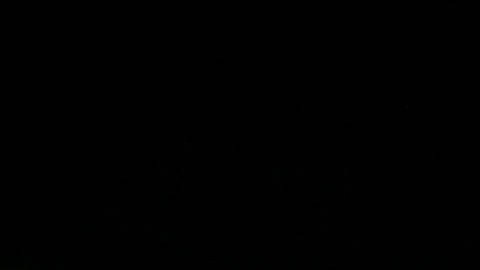 Telmary ya está preparando su próximo disco. Foto: Cortesía