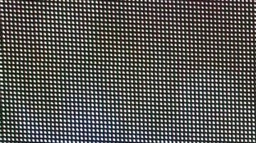 Elizabeth Álvarez y Jorge Salinas tienen un matrimonio estable